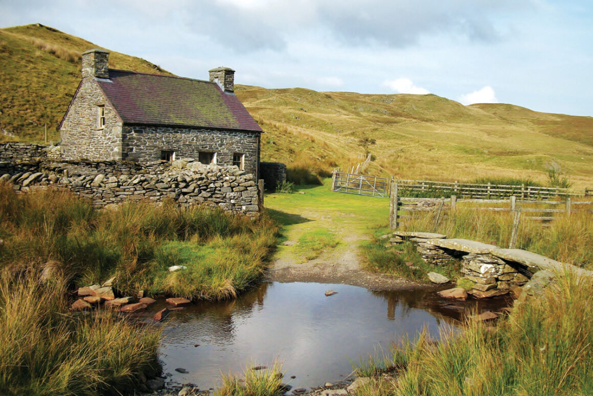 Stephanie Burgess Photography