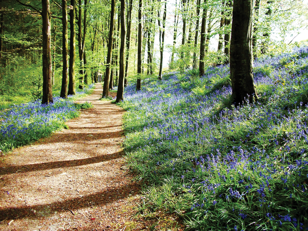 Stephanie Burgess Photography Stephanie Burgess Photography