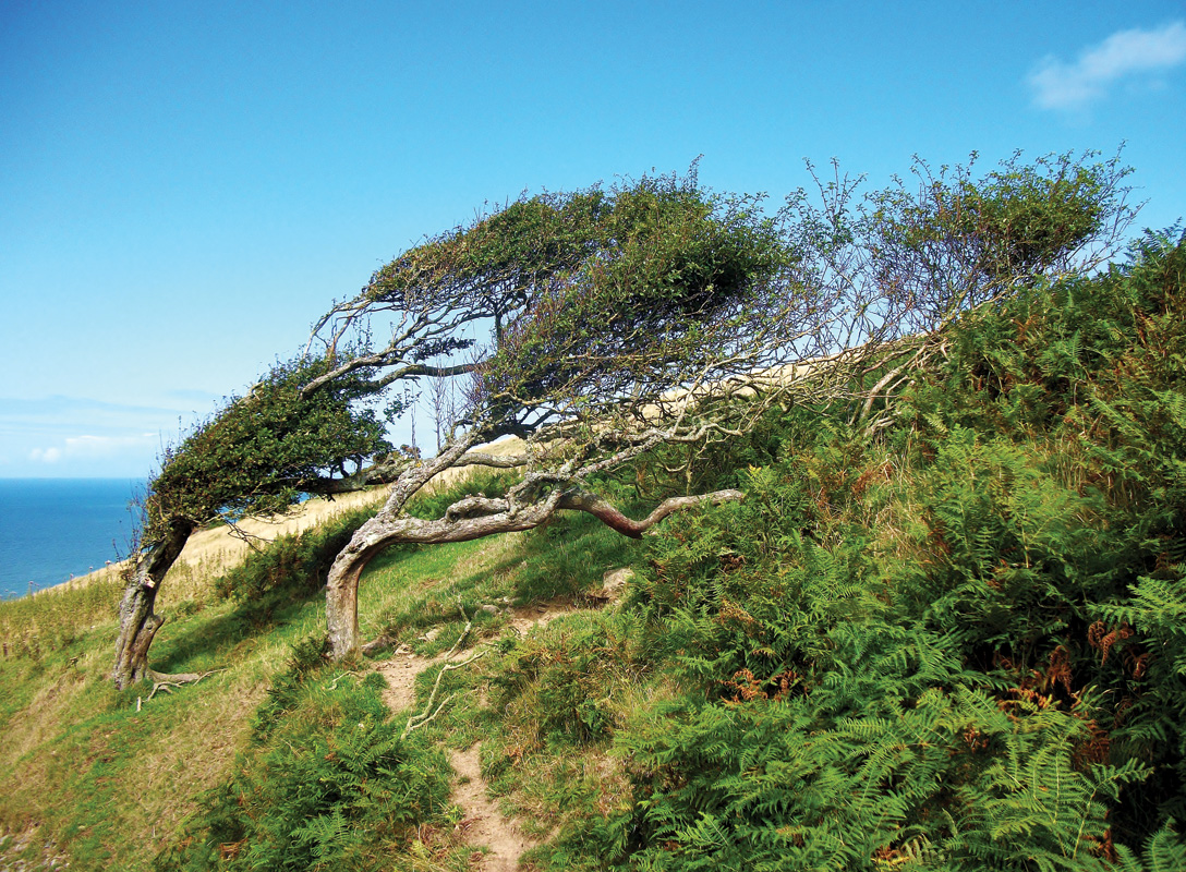 Stephanie Burgess Photography Stephanie Burgess Photography