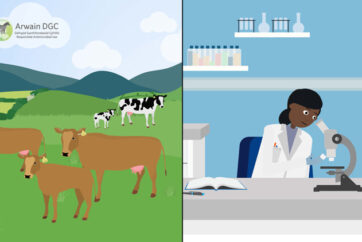 Antibiotic Use Goes Under The Spotlight At Royal Welsh Show