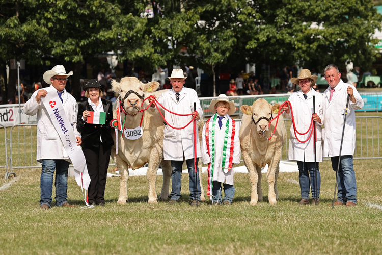 Supreme Beef Champion