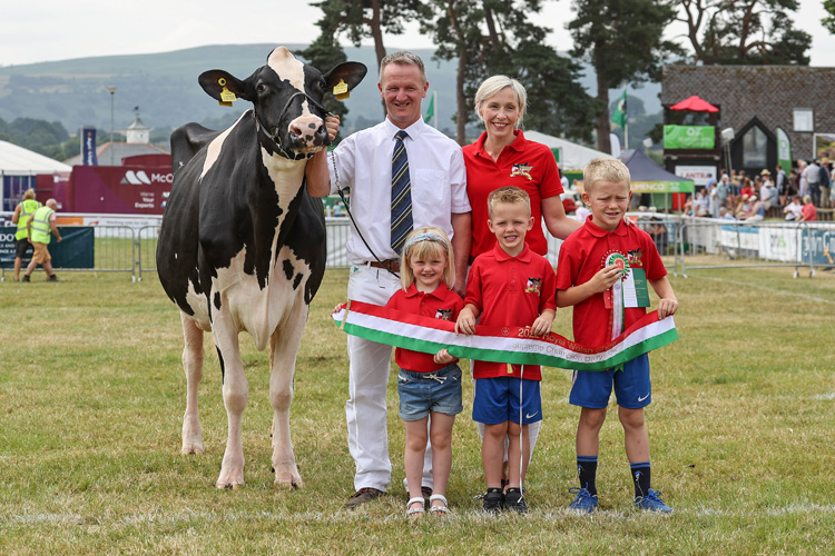 Supreme Champion Dairy Cow