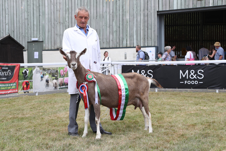 Goat Supreme Champion