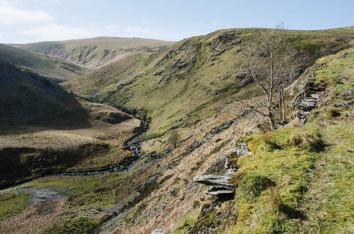 Walking In Wales