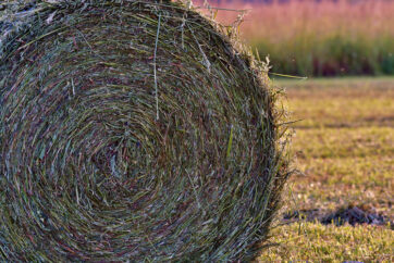 Clamp and Big Bale Silage Competitions 2022