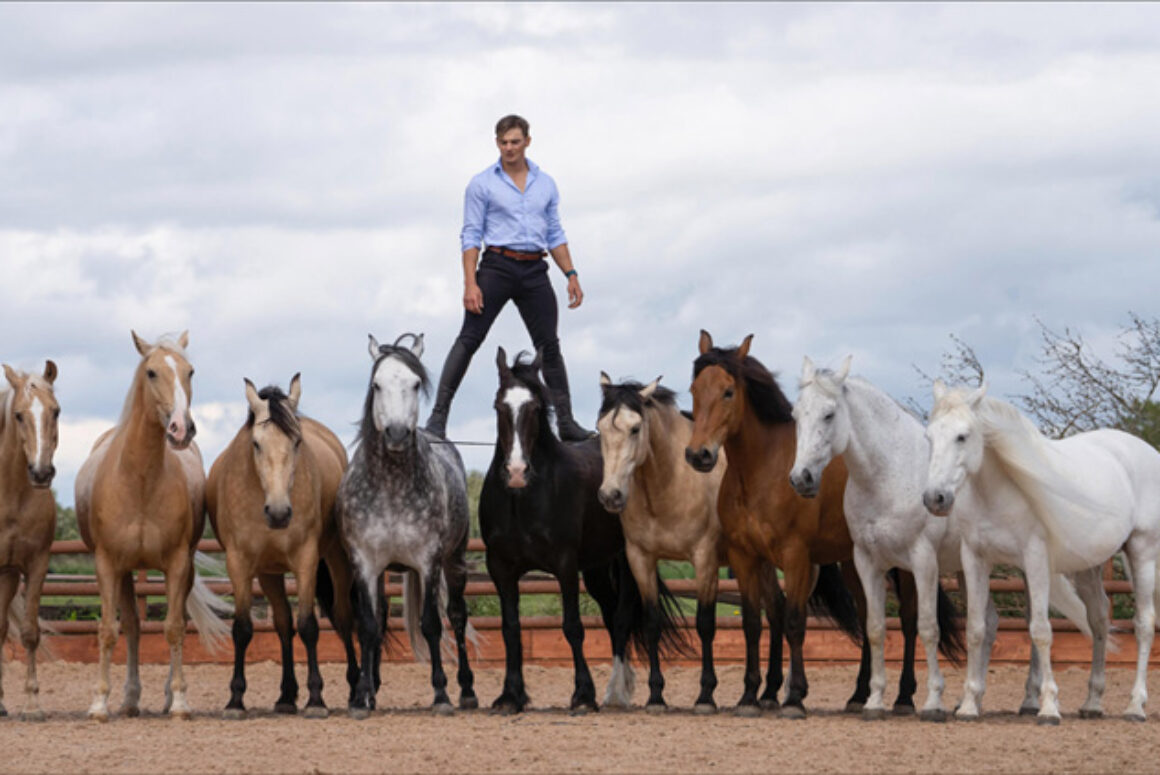 Atkinson Action Horses Stunt Team Headlines as Llanfyllin Show Returns