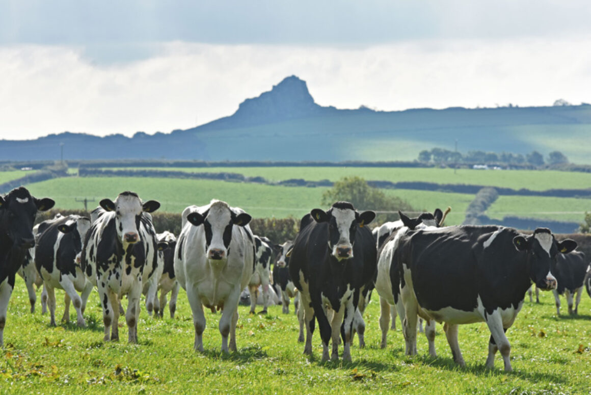 FUW in Talks with Ceredigion County Council