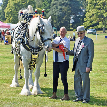 Record attendance as Llanfyllin Show returns in style