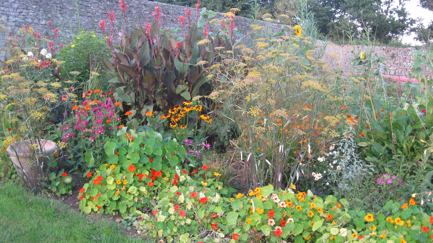 Lamphey Walled Garden
