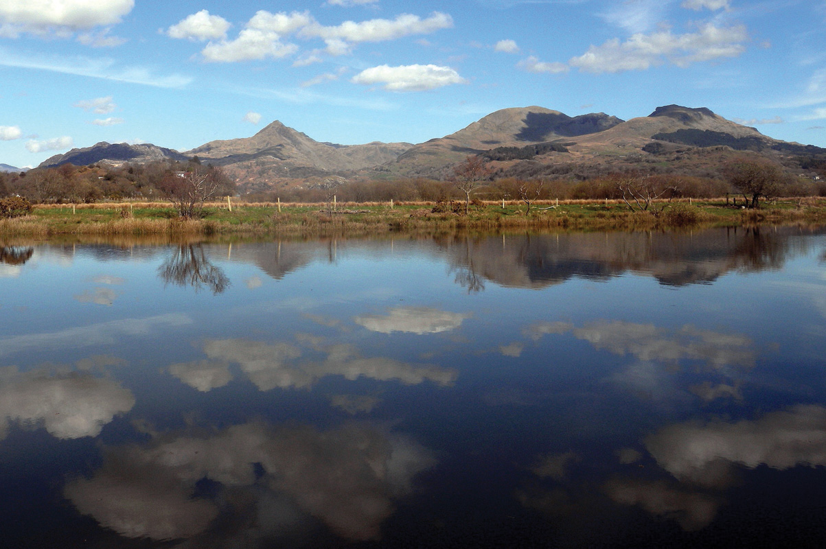 The Ospreys of Glaslyn Valley The Ospreys of Glaslyn Valley