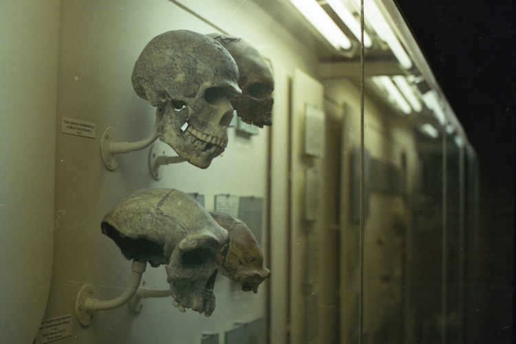 6 Things You Didn't Know About Anthropology