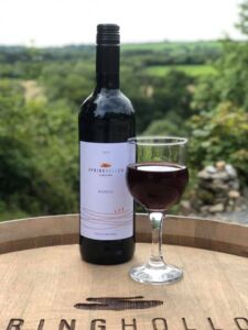 Raise a Glass at the Brecon Beacons Food Festival