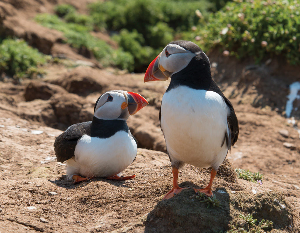 Gary Short Photography