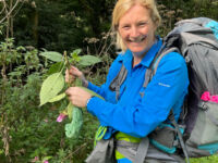 Canal Cancer Walks Offer A Breath Of Fresh Air