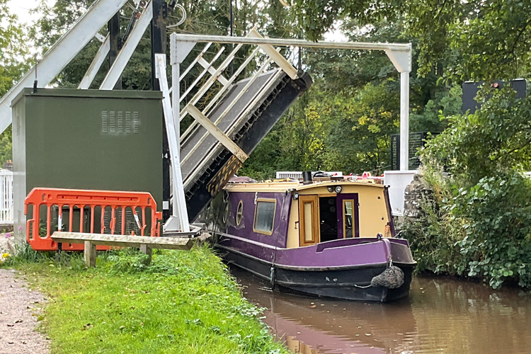 Canal Cancer Walks Offer A Breath Of Fresh Air