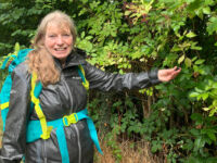 Canal Cancer Walks Offer A Breath Of Fresh Air