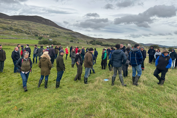 How Safeguarding the Environment and Food Production Go Hand in Hand