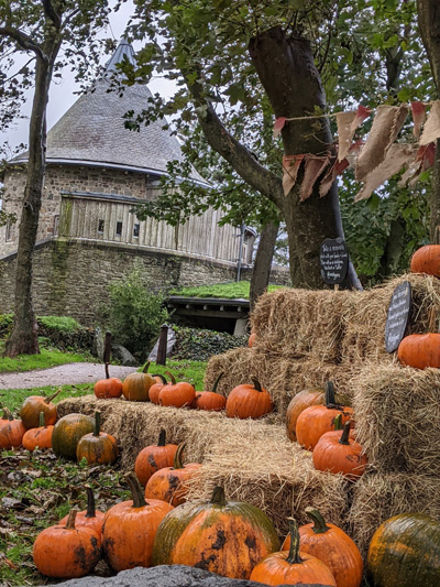 Spooky Tours, Celtic Celebrations and More this Half Term Spooky Tours, Celtic Celebrations and More this Half Term
