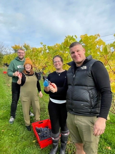 Autumn at White Castle Vineyard
