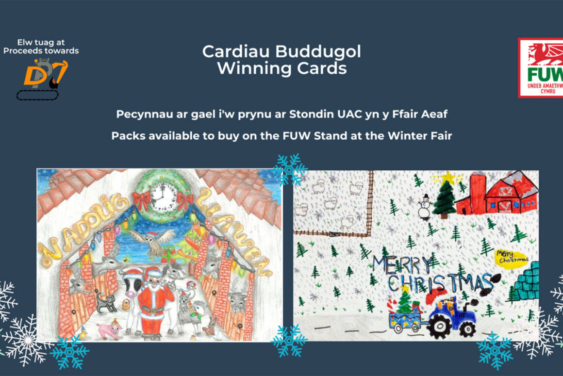 Winning FUW Christmas Card Designs Revealed Ahead of Winter Fair