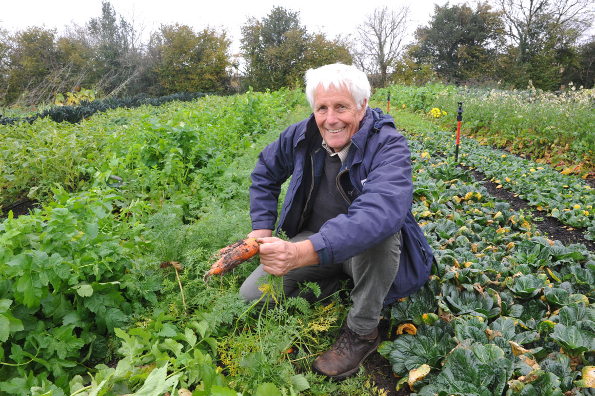 No dig gardening benefits soil, but beware of pitfalls expert