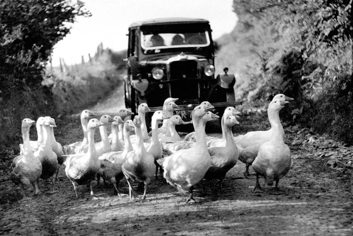 Llew E. Photographer and Polymath Welsh Country