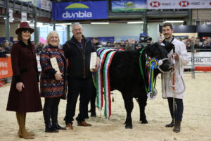 Supreme Cattle Champion 'Baby Guinness'