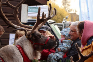 Record-breaking Royal Welsh Winter Fair kickstarts the festive season