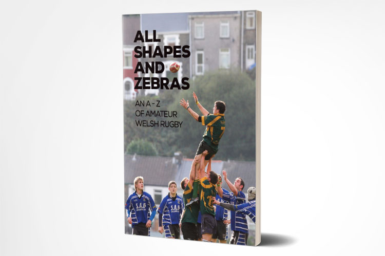 All Shapes and Zebras