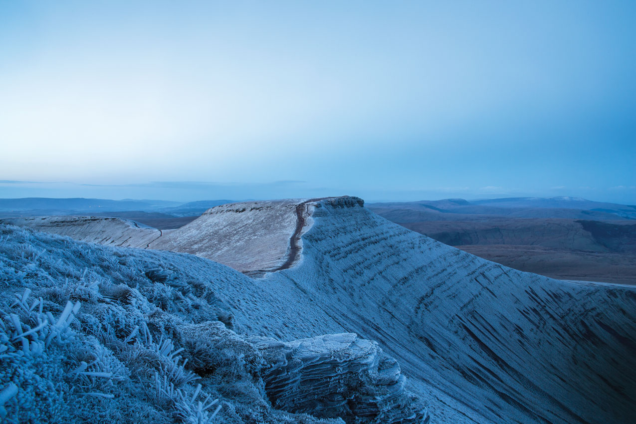 Anthony Pease - Winter