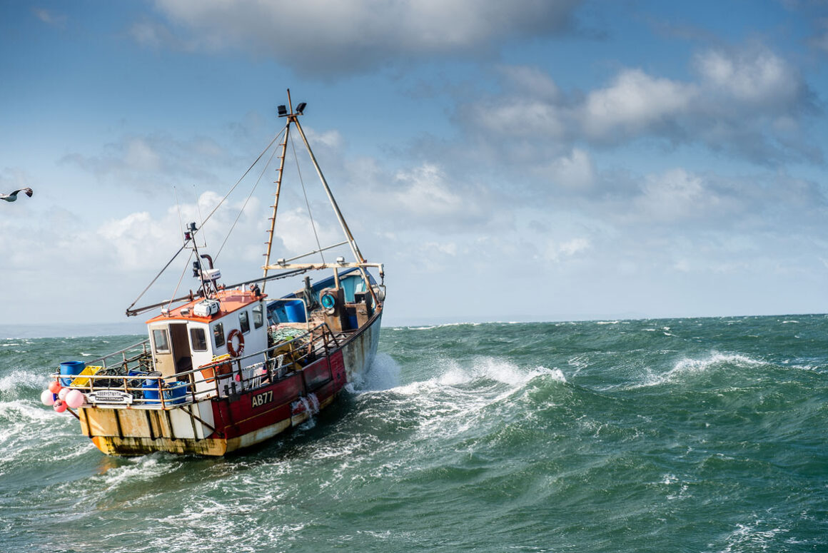 £3m Funding Scheme for Marine, Fisheries and Aquaculture Projects Announced