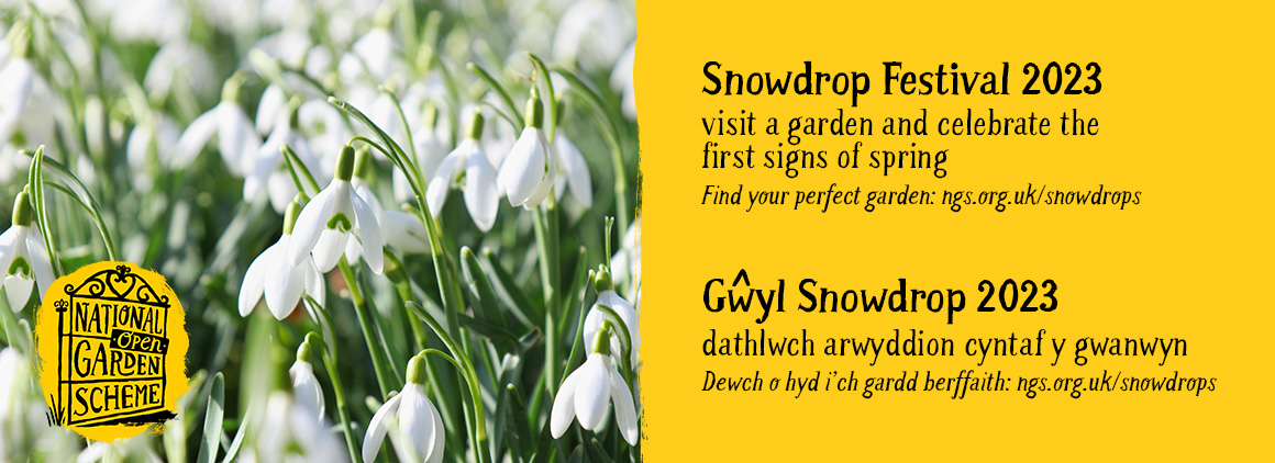 Snowdrop Festival 2023