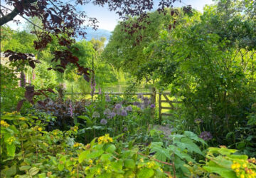 Baileau, Abergavenny