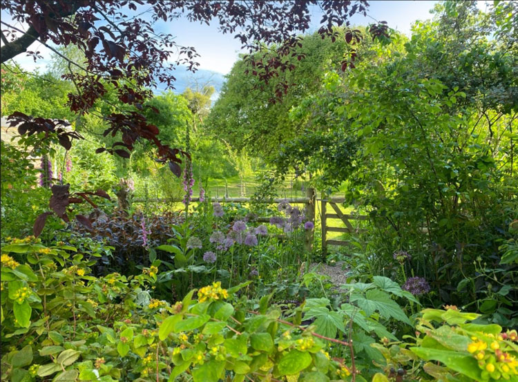 Baileau, Abergavenny