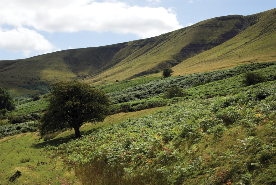 The Black Mountains, Hay Bluff