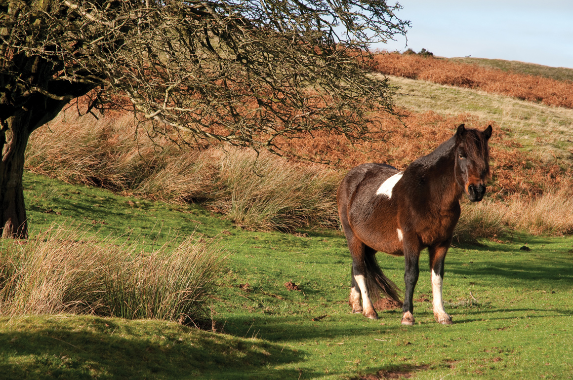 The Black Mountains, Hay Bluff
