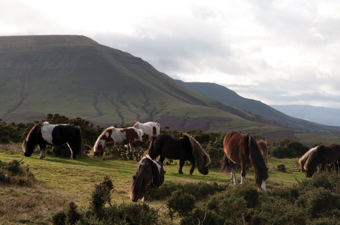 Hay Bluff