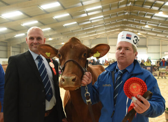Welsh Dairy Show