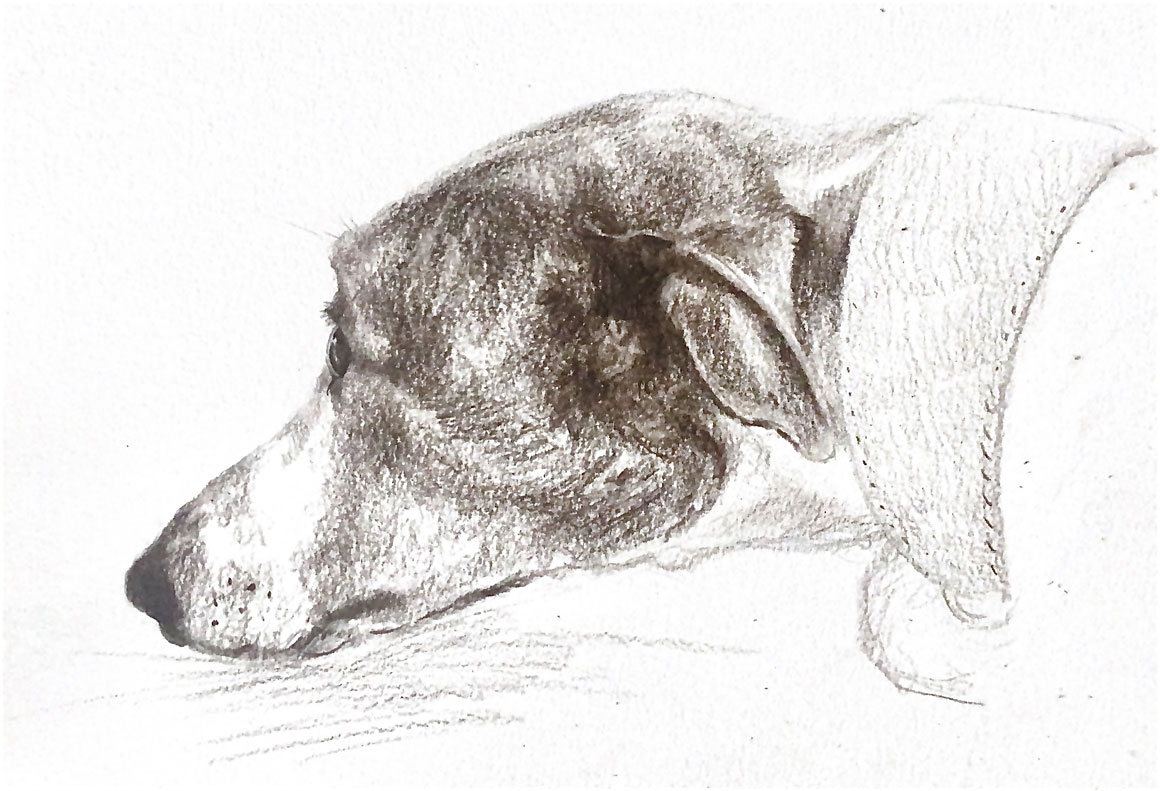 Dogs & Daffodils