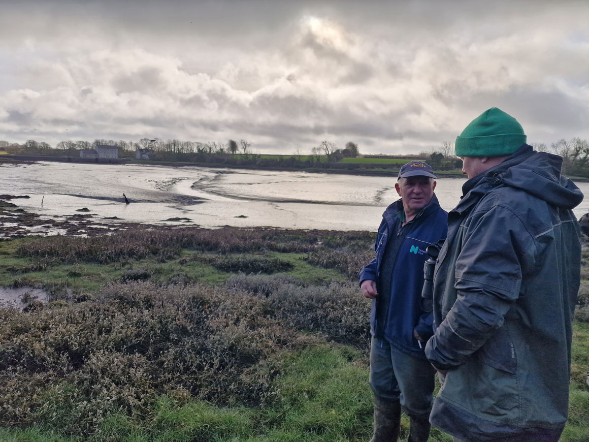Pembrokeshire coastal beef farmer joins Big Farmland Bird Count