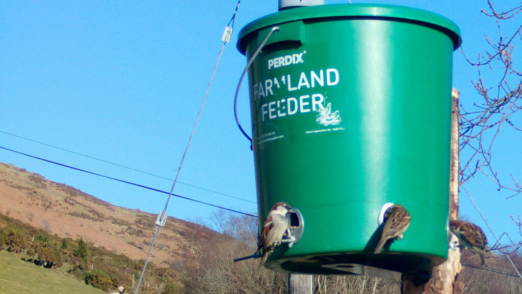 Farmland Birds being helped in Ceredigion