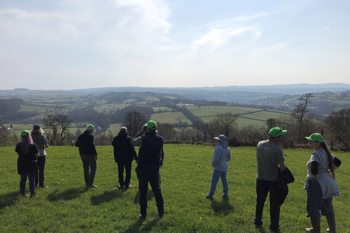 Farmland Birds Being Helped in Ceredigion