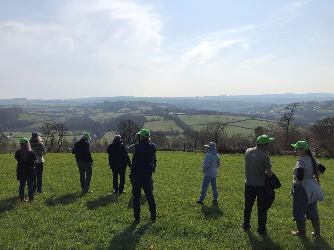 Farmland Birds being helped in Ceredigion