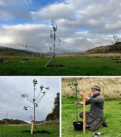 Wales Heritage Orchards Ltd Help Celebrate St Teilo’s Day Across Wales