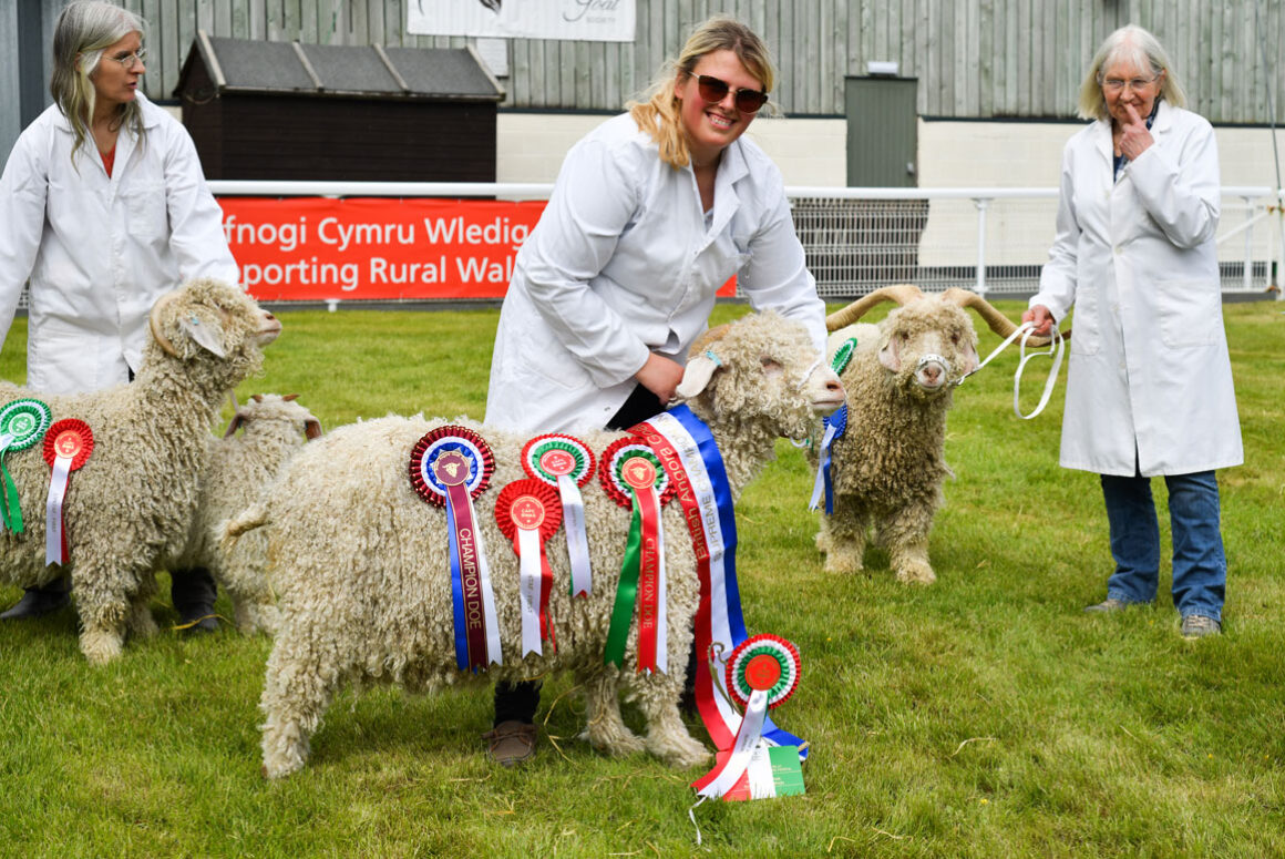 A Celebration of Rural Life, The Smallholding & Countryside Festival