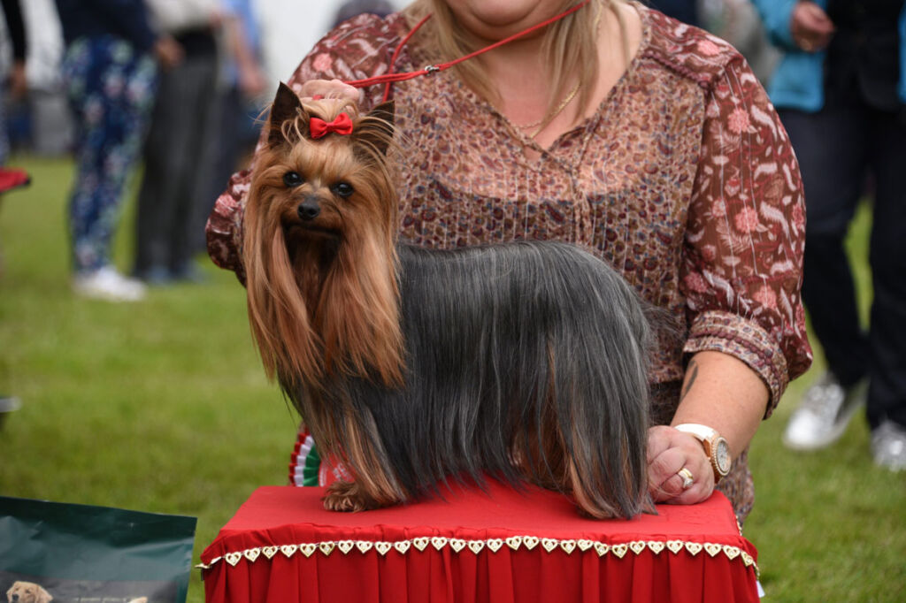A Celebration Of Rural Life, The Smallholding & Countryside Festival