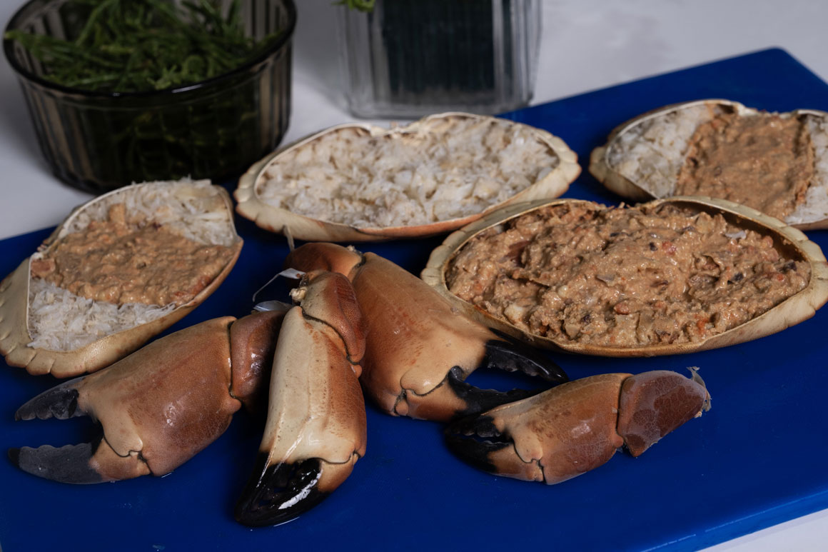 Wales Seafood Cluster Serves Up Free Skills Courses