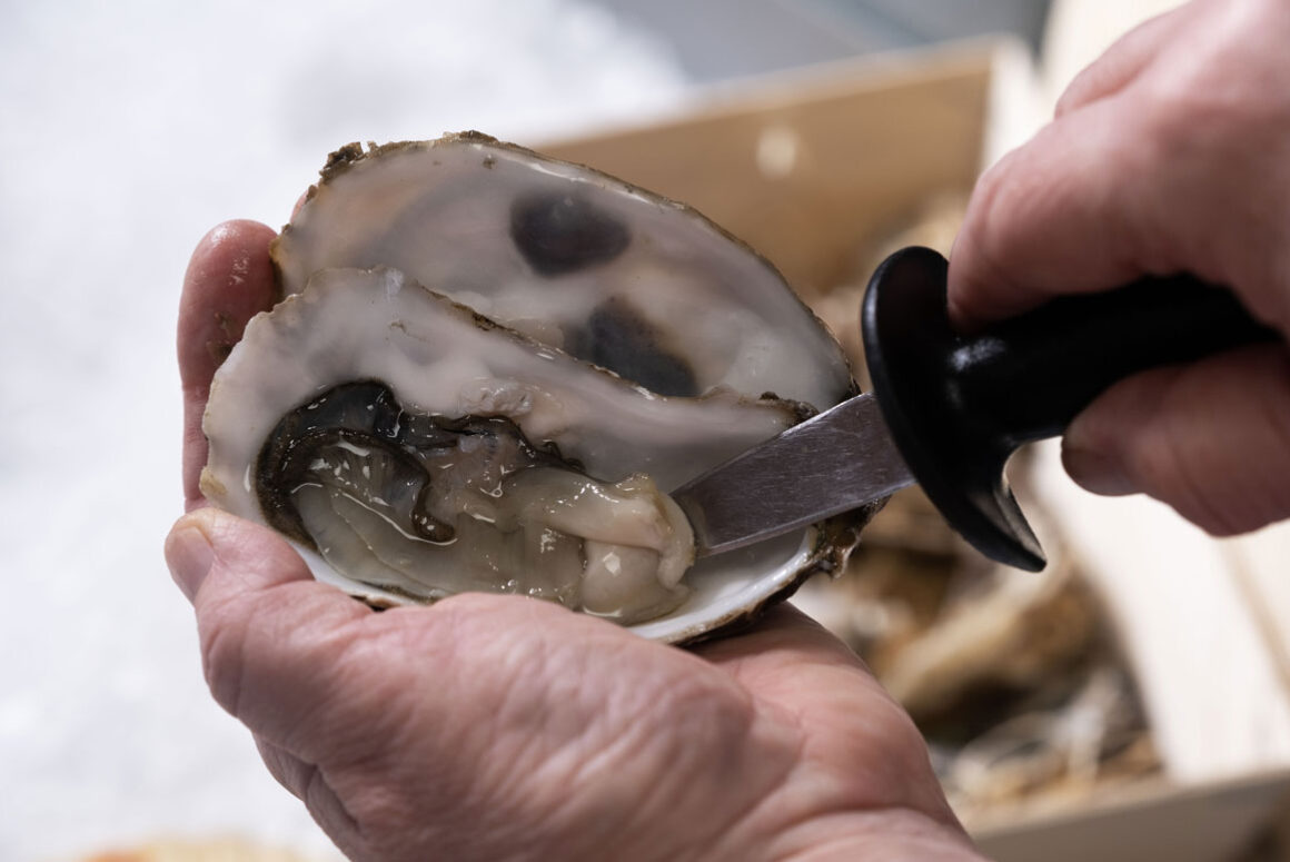 Wales Seafood Cluster Serves Up Free Skills Courses