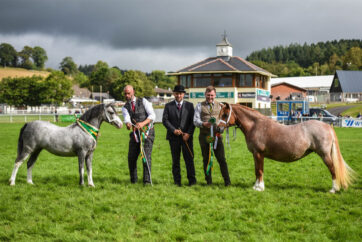 Home-Produced classes to be introduced to equine section at 2023 Smallholding & Countryside Festival