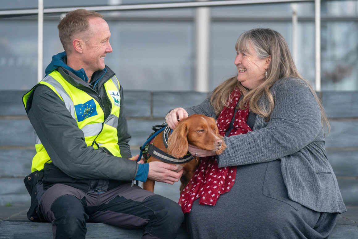 Meet Jinx, The Biosecurity Dog Protecting Wales’ Endangered Seabirds